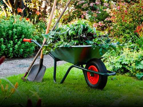 Garden Pruning Services