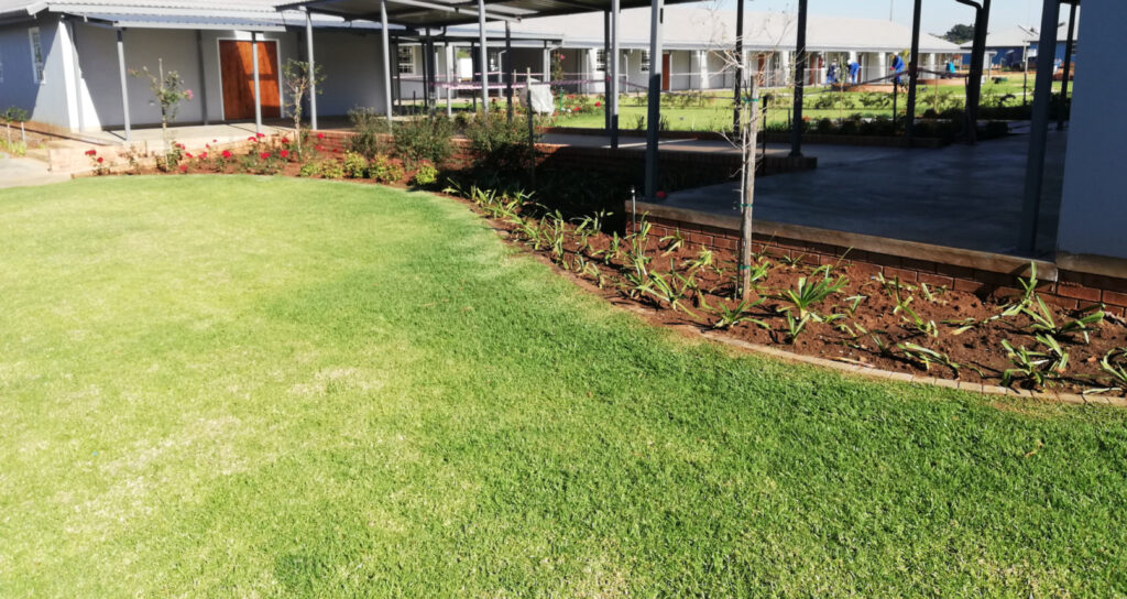 Instant Lawn