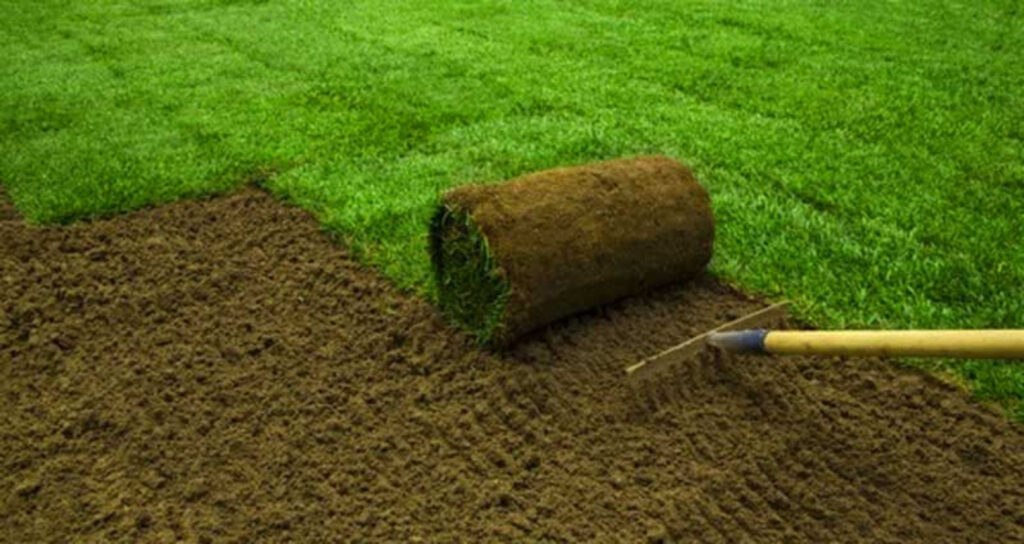 Instant Lawn