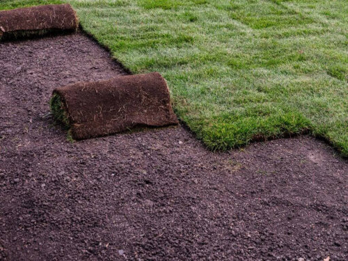 Instant Lawn Service