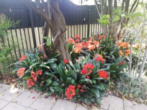 garden design