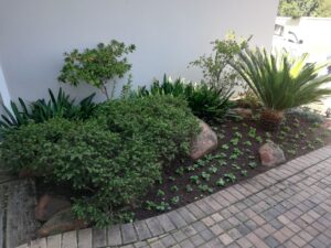 Garden Service