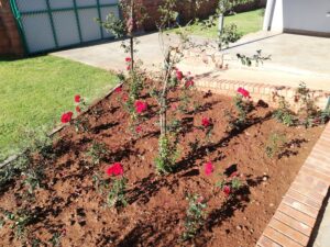 Landscaping Services