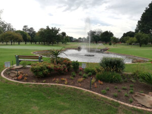 Landscaping Services